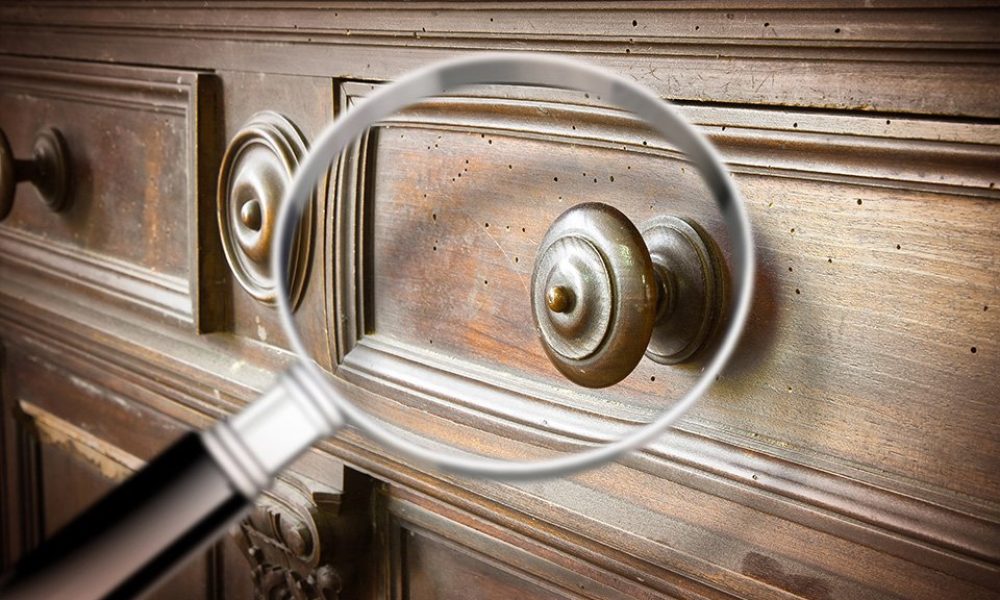 Disinfesione-Ligur-Bonifiche-Srls-genova-044