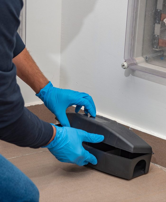 ligurbonifiche-derattizzazione-trappole-scaled