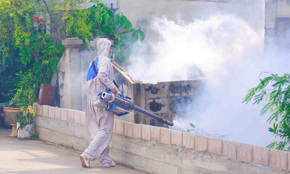 worker-is-spraying-chemical-to-eliminate-mosquitoe-2025-03-11-00-26-03-utc-min